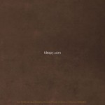 Devonstone Brown BCT08514 33.1x33.1cm British Ceramic Tile