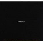 Function and Form Black BCT18703 24.8x49.8cm British Ceramic Tile