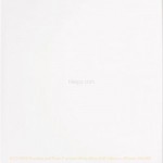 Function and Form White BCT19922 24.8x49.8cm British Ceramic Tile