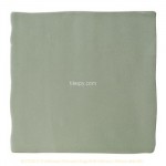 Character Green BCT23517 10x10cm British Ceramic Tile