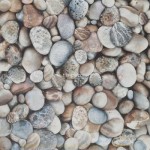 Feature Floors Beige, Multi BCT28666 33.1x33.1cm British Ceramic Tile