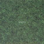 Feature Floors Green BCT28680 33.1x33.1cm British Ceramic Tile