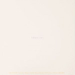 Romance Cream BCT37293 49.8x2cm British Ceramic Tile