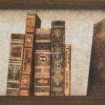 Englishman’s Home Brown BCT38726 24.8x49.8cm British Ceramic Tile