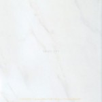 Carrara White CAN32507 24.8x33.1cm British Ceramic Tile