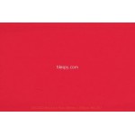 Brooklyn Red ISC2822 10x30cm British Ceramic Tile