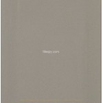 Biscelado Grey K000470 10x20cm British Ceramic Tile