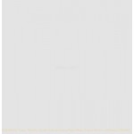 Linea White RAN00880 24.8x49.8cm British Ceramic Tile