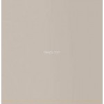 Linea Beige RAN00903 24.8x49.8cm British Ceramic Tile