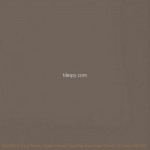 Trace Brown RAN00989 33.1x33.1cm British Ceramic Tile