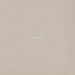 Trace Beige RAN01030 49.8x49.8cm British Ceramic Tile