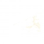 BCT Laurel Honey BCT58939 British Ceramic Tile