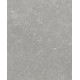 Kensington XL Porcelain Lightstone Honed grey 60x60cm Ca’ Pietra
