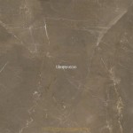 Pulpis Rec-Bis brown 186900 58x58cm Dune