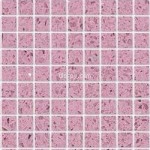 Gulf Stone light pink Starburst quartz resin small mosaic 2.5x2.5 cm tiles